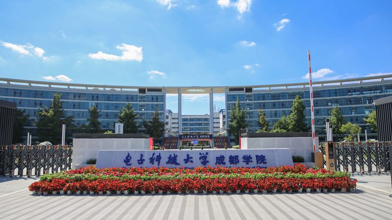 成都电子配件批发加盟：揭秘成功之路