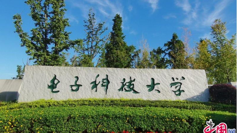 电子配件批发：如何避免陷入误区**