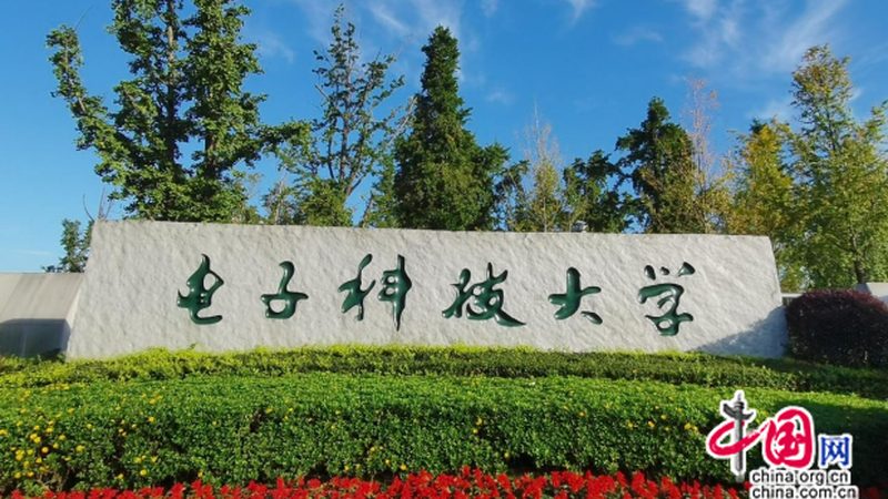 电子设计开发板选购：如何避免陷入误区**